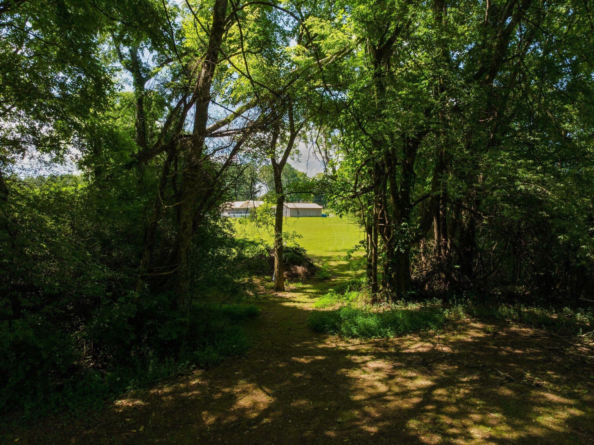 558 Bonds Road Property Photo 68