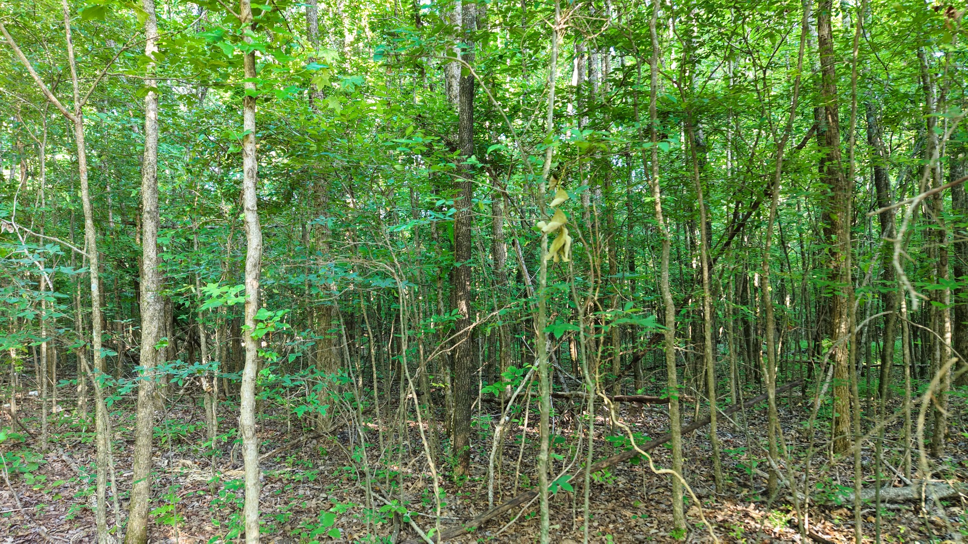 1 Harrell Dr Property Photo 16