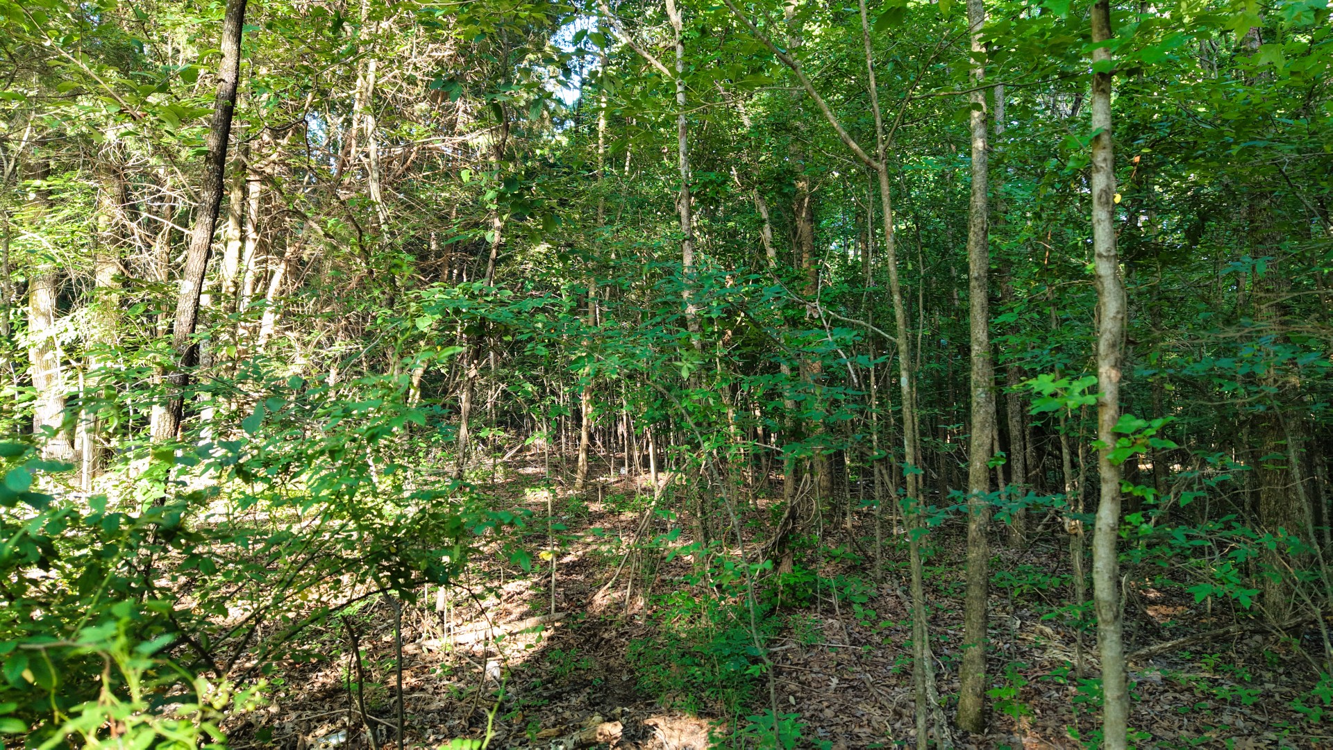 1 Harrell Dr Property Photo 17