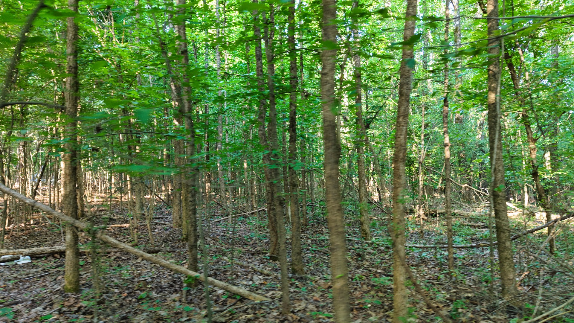 1 Harrell Dr Property Photo 22