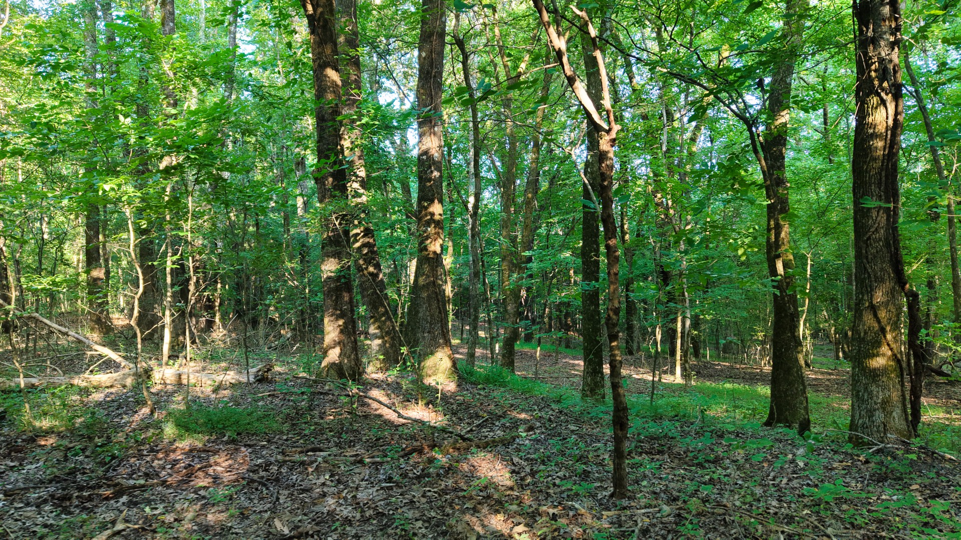 0 Harrell Dr Property Photo 15