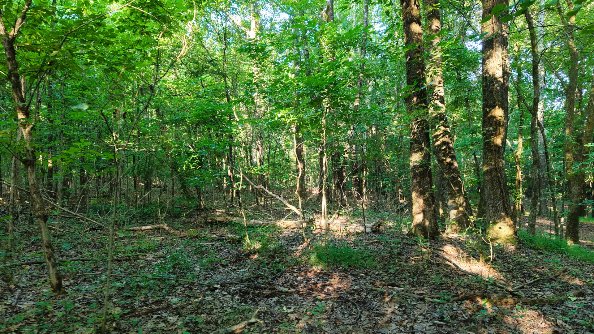 0 Harrell Dr Property Photo 16