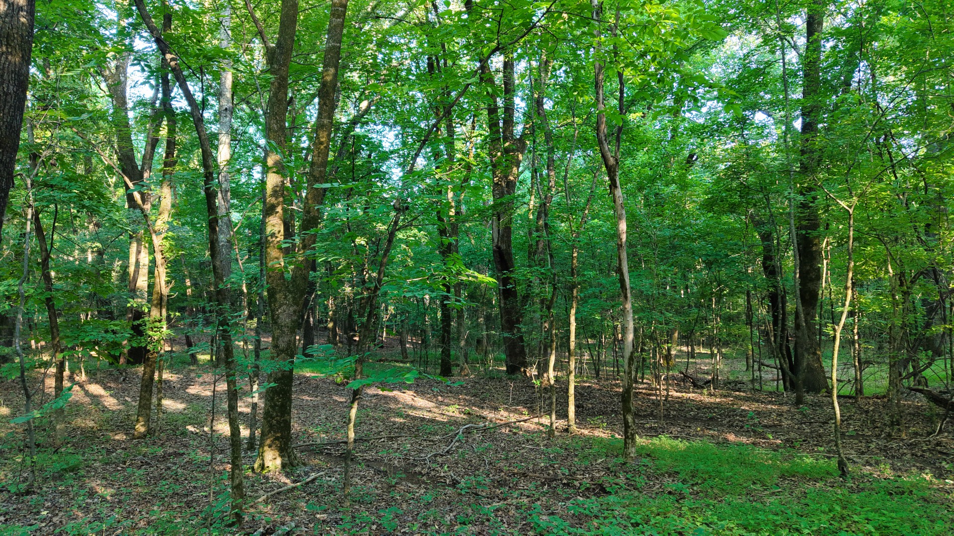 0 Harrell Dr Property Photo 18