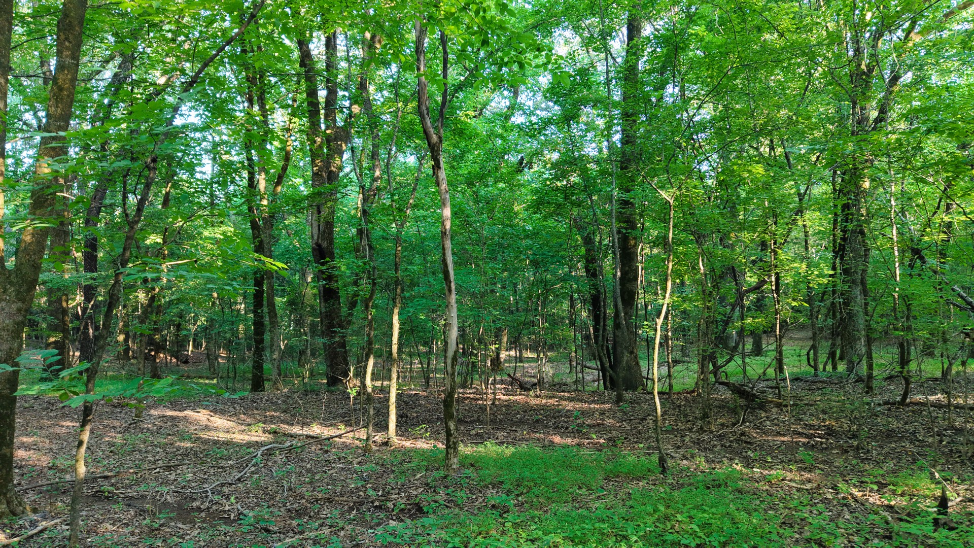 0 Harrell Dr Property Photo 19