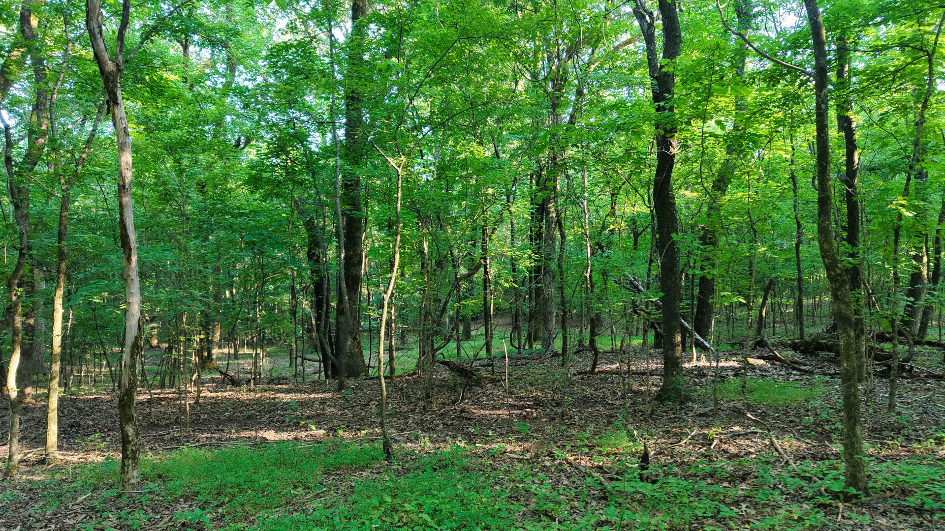 0 Harrell Dr Property Photo 20