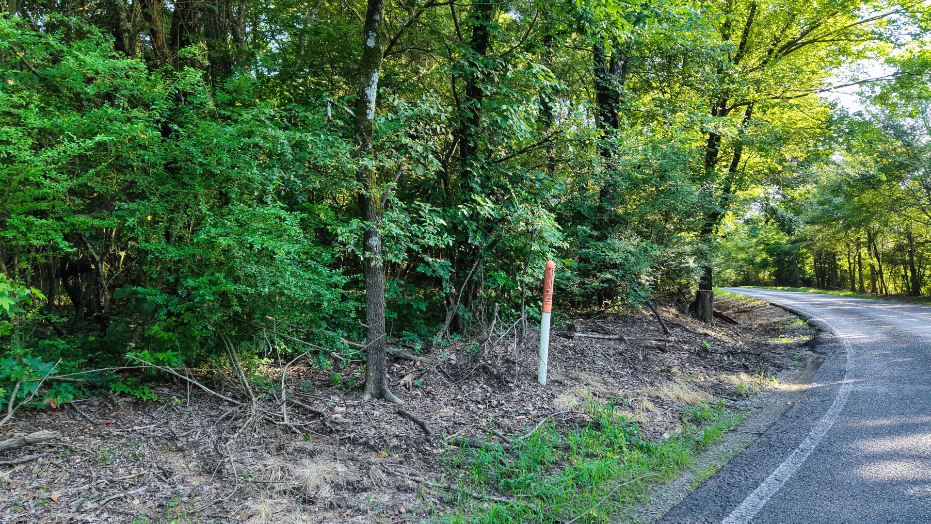 0 E Larry Anderson Ln Property Photo 32