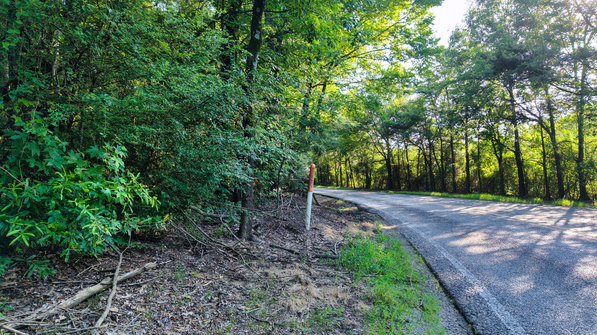 0 E Larry Anderson Ln Property Photo 34