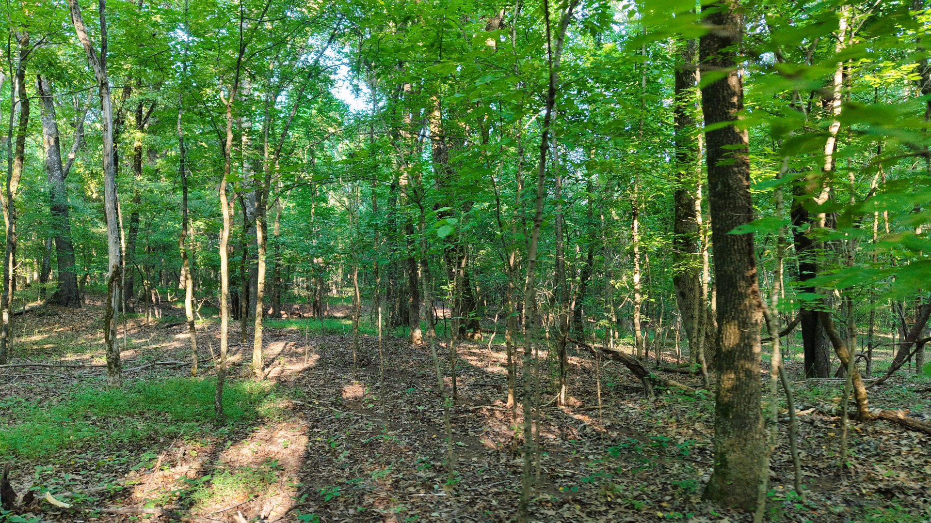 0 E Larry Anderson Ln Property Photo 40