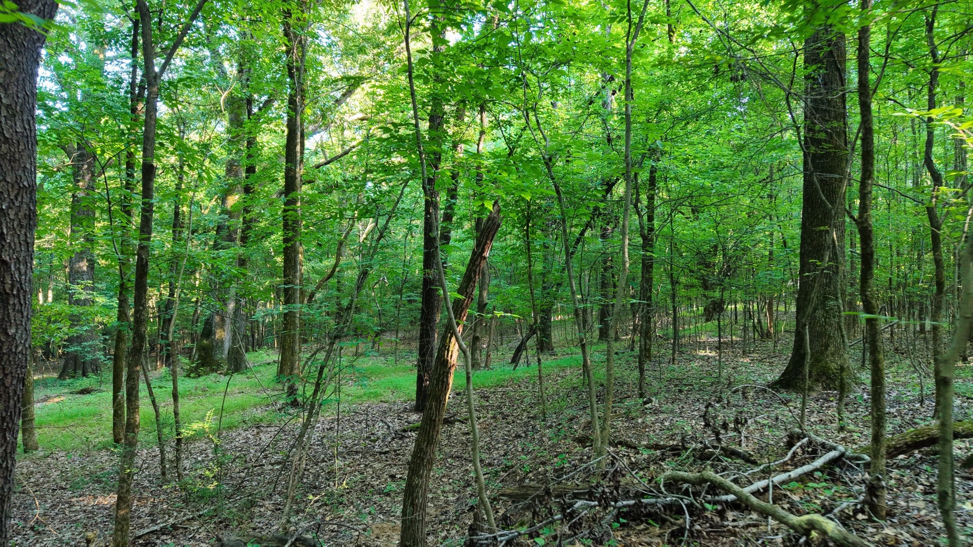0 E Larry Anderson Ln Property Photo 41