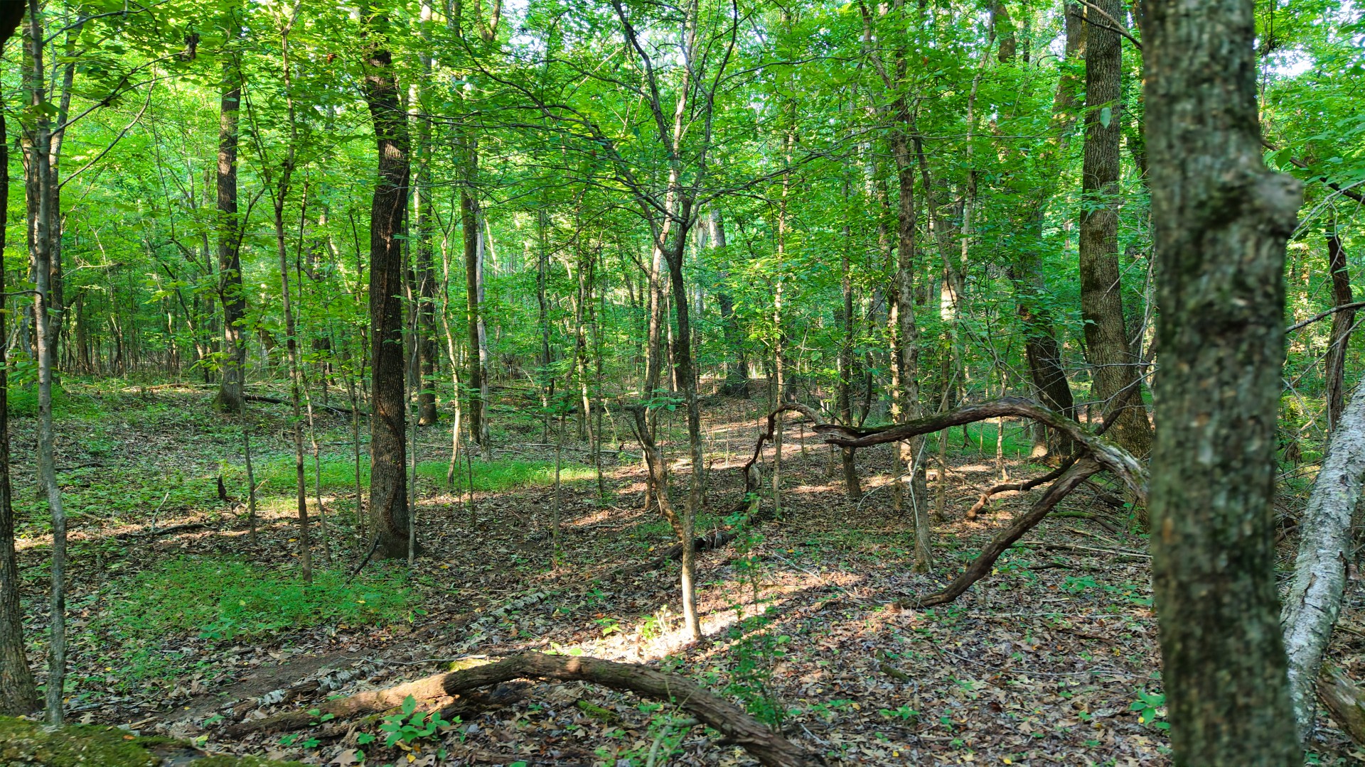 0 E Larry Anderson Ln Property Photo 44
