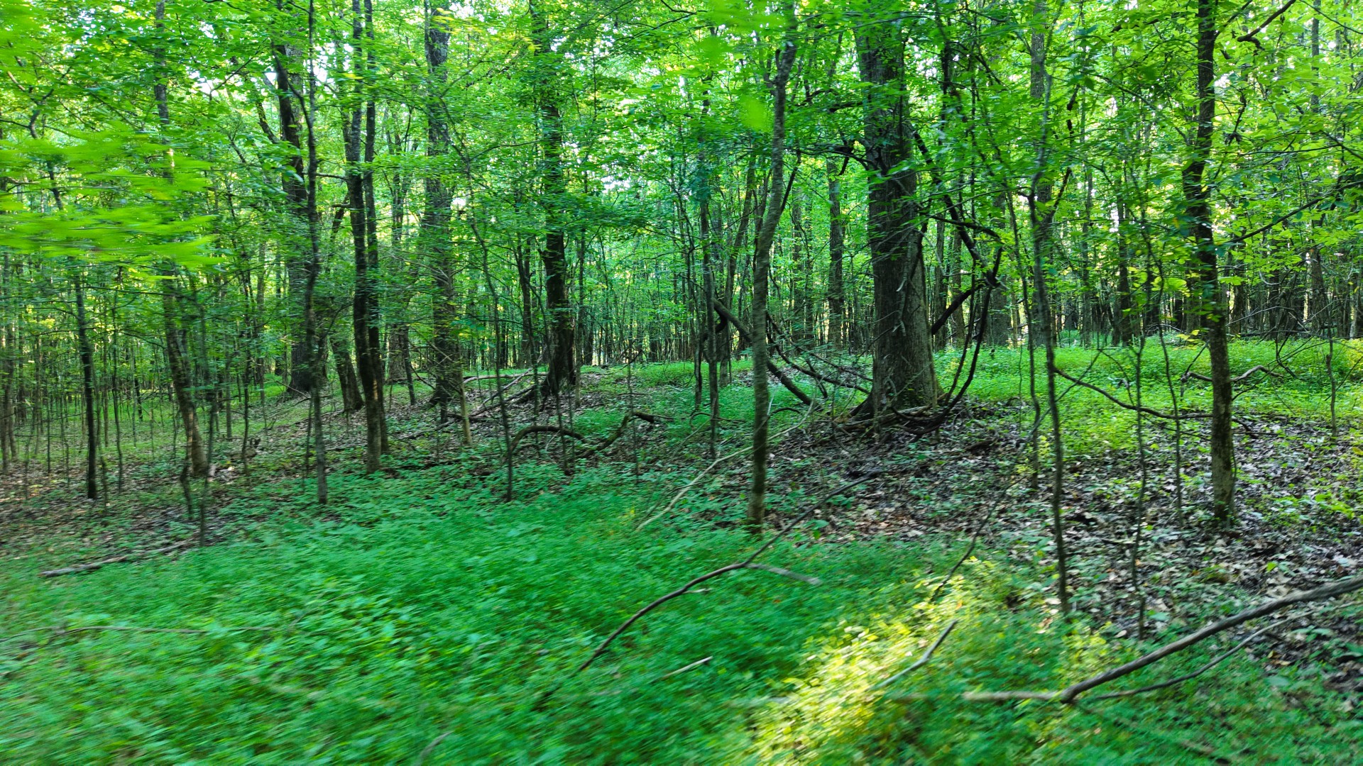 0 E Larry Anderson Ln Property Photo 45