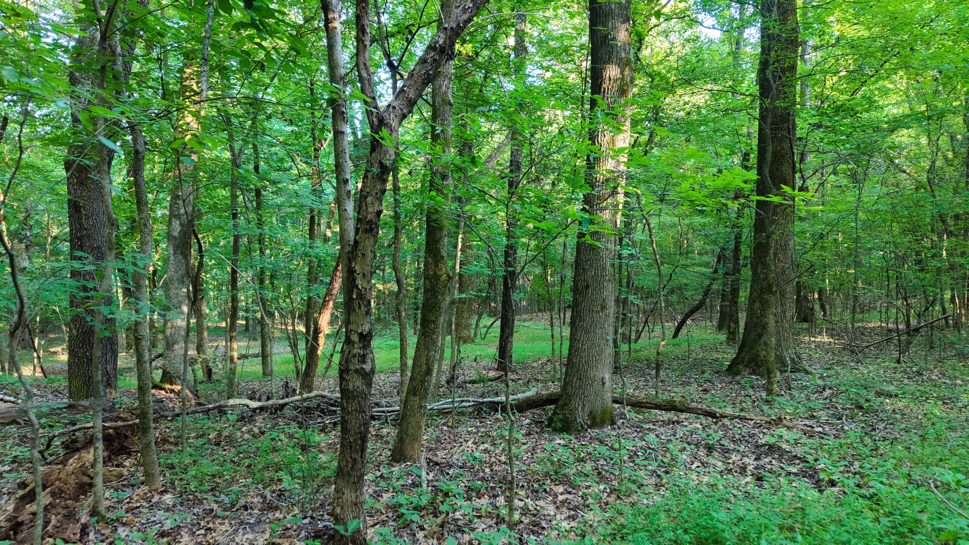 0 E Larry Anderson Ln Property Photo 48