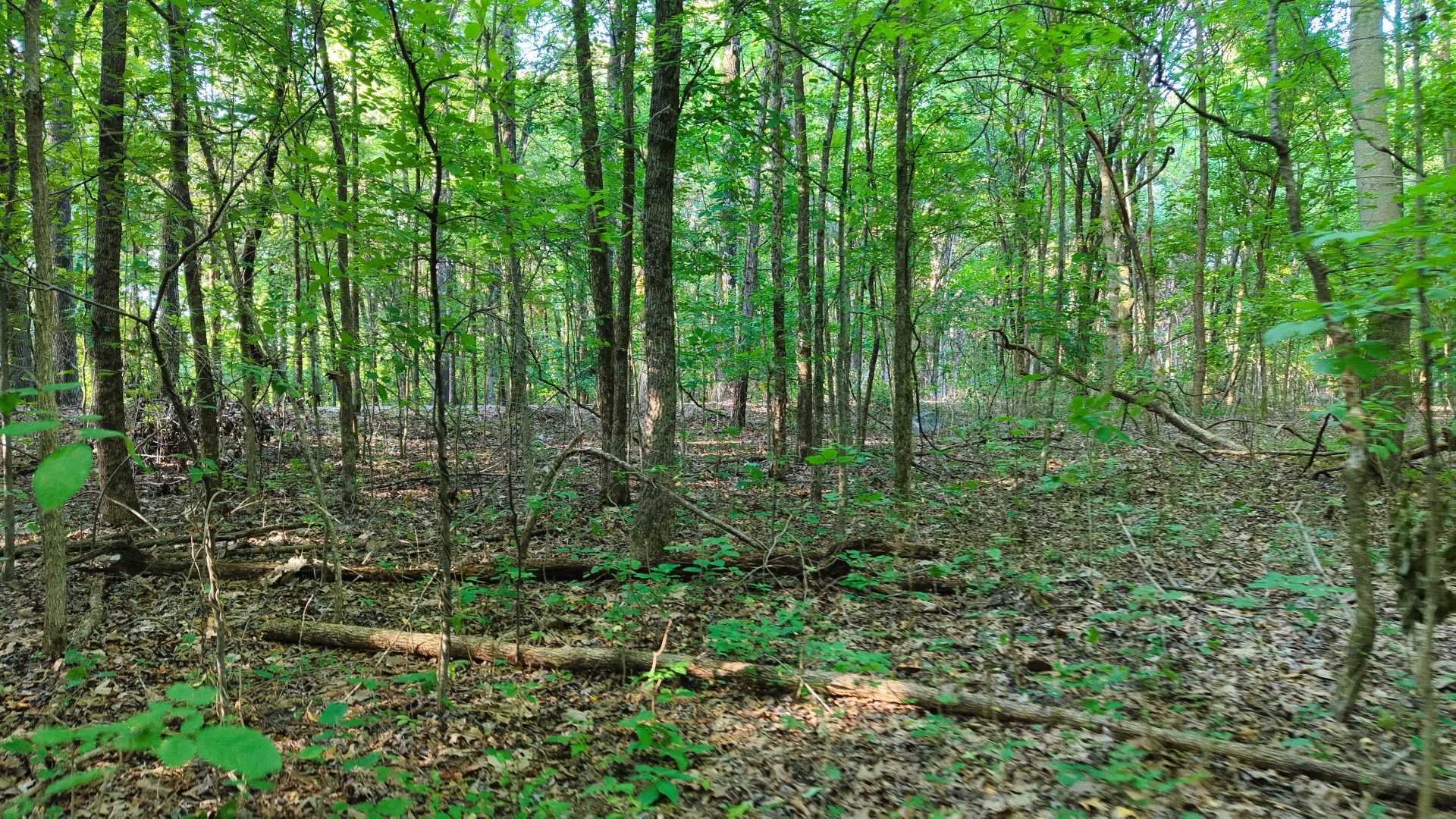 0 E Larry Anderson Ln Property Photo 50