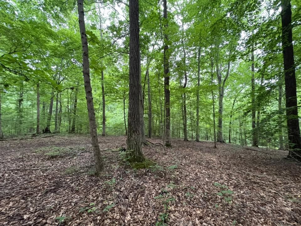 0 Knox Ln Property Photo 1