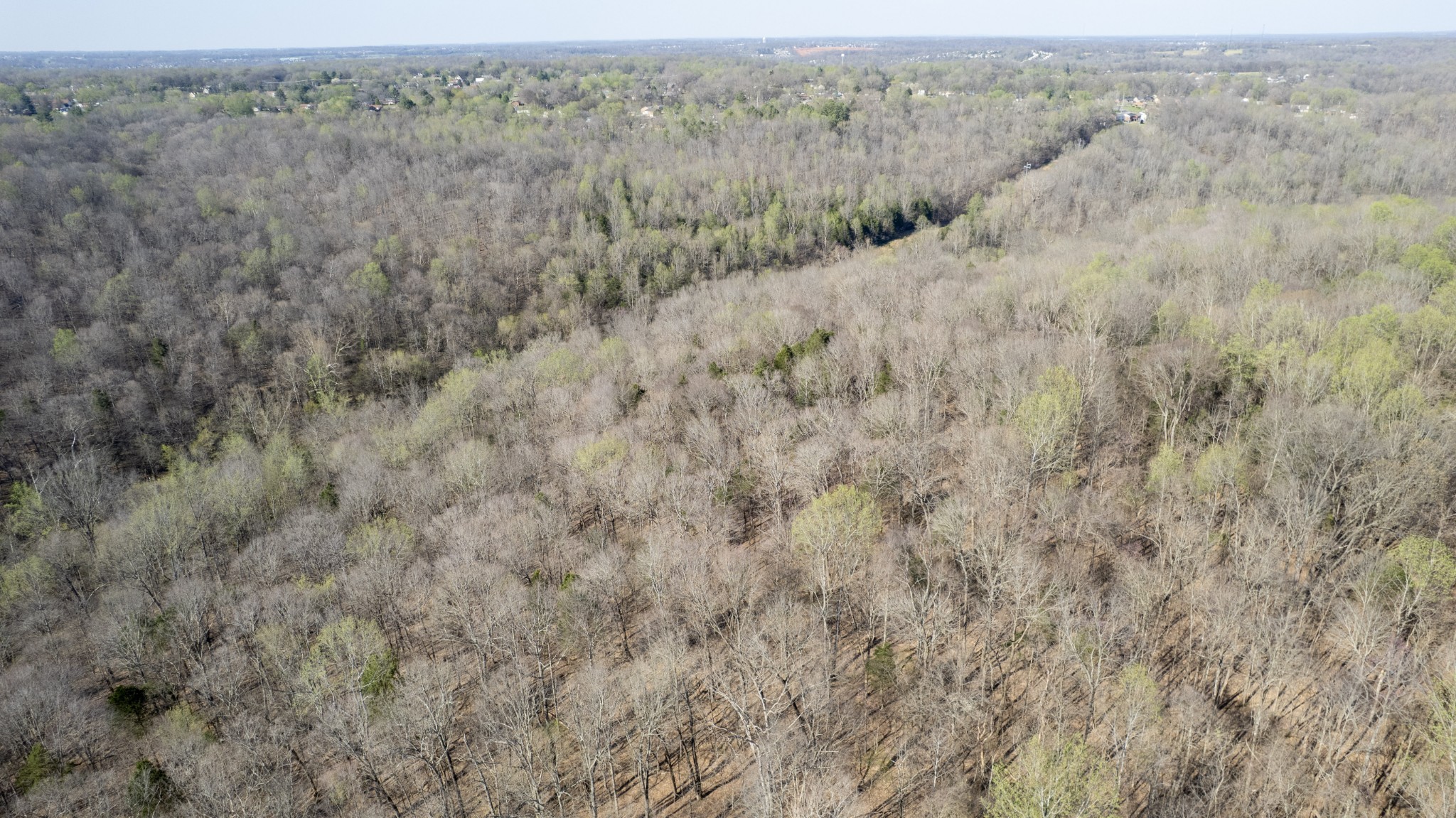 0 Knox Ln Property Photo 6