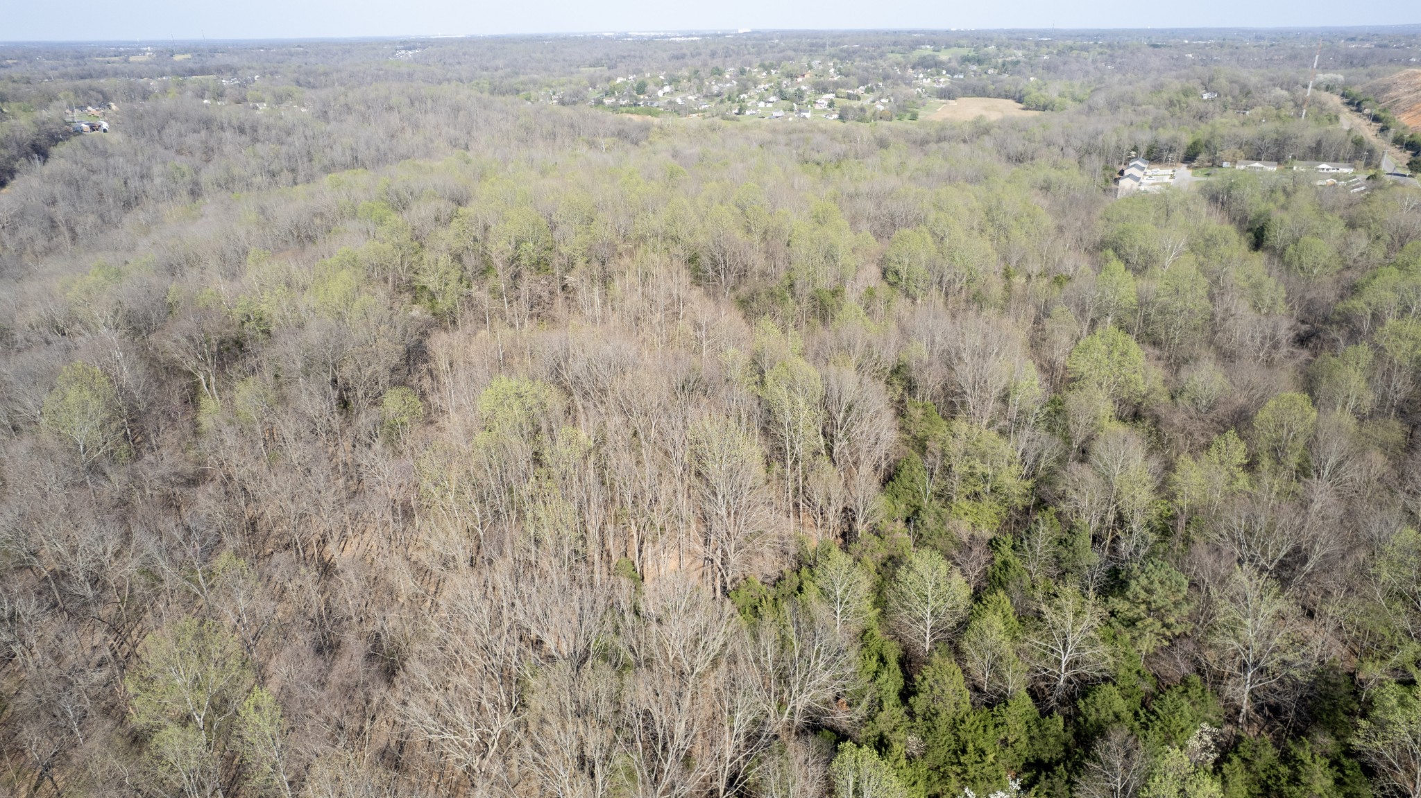 0 Knox Ln Property Photo 7