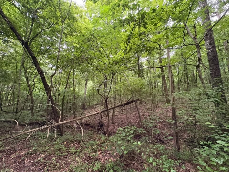 0 Knox Ln Property Photo 36