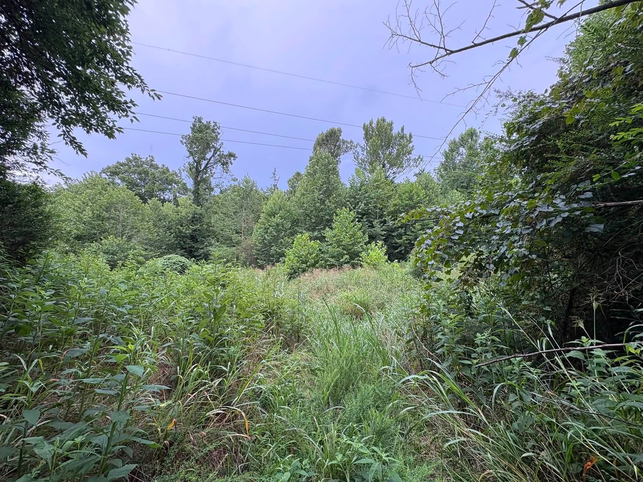 0 Knox Ln Property Photo 37