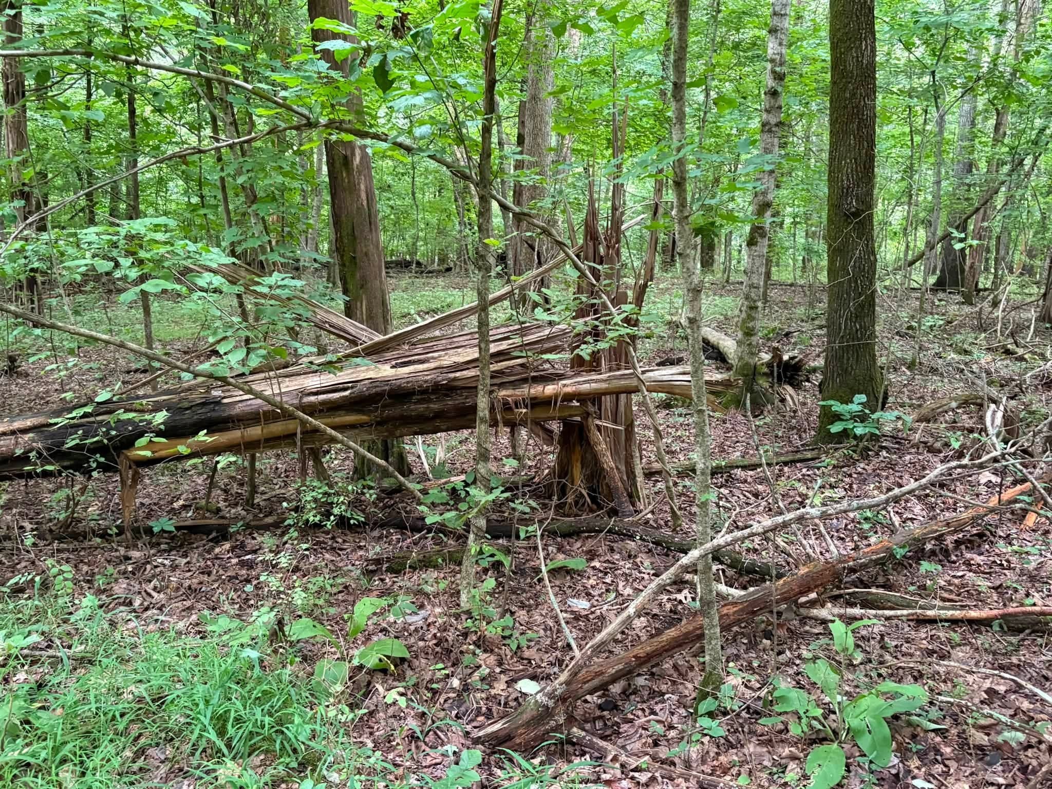 0 Knox Ln Property Photo 40