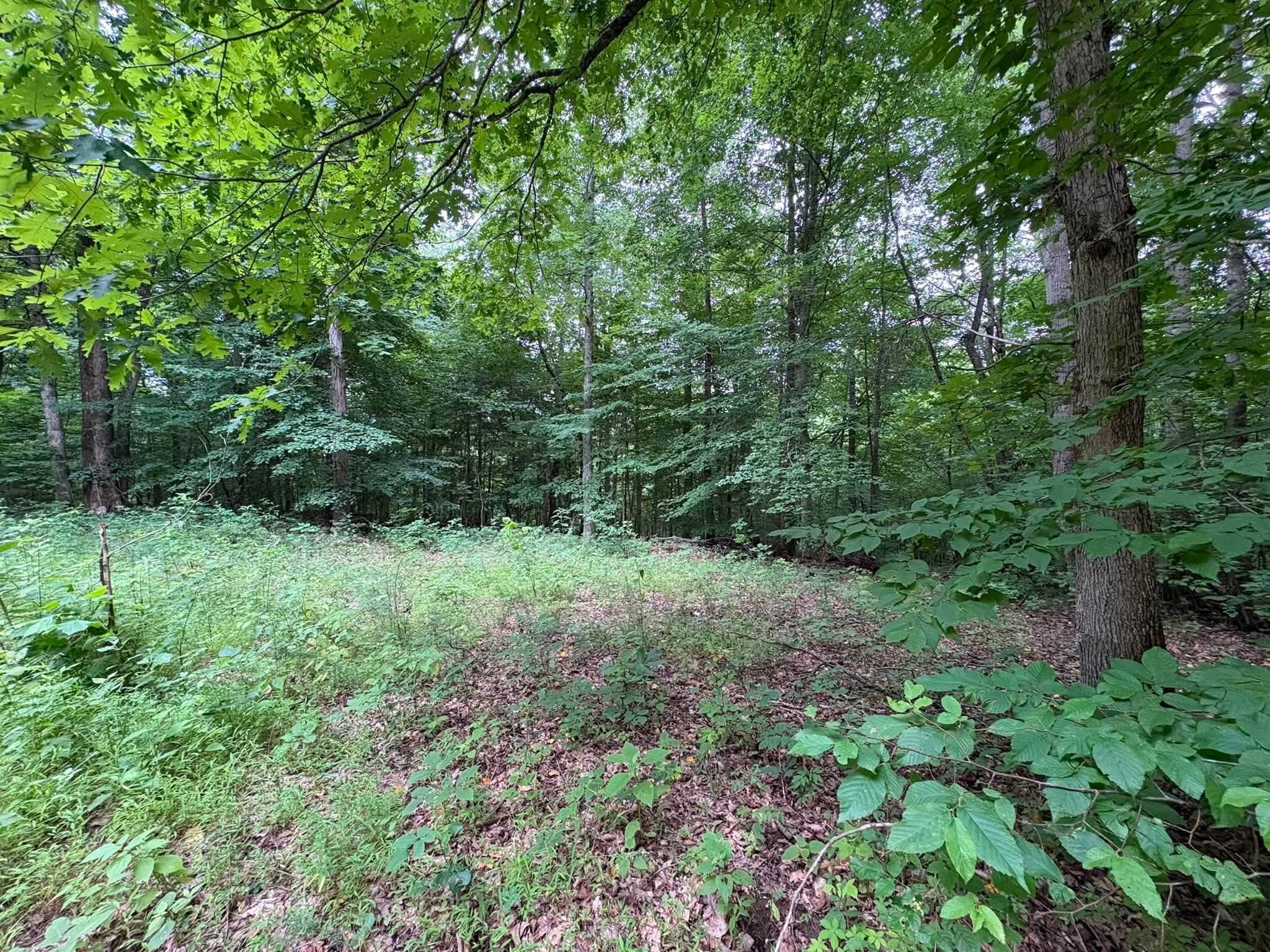 0 Knox Ln Property Photo 42