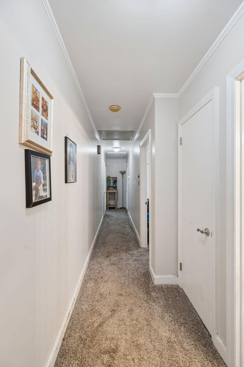310 Curtis Road Property Photo 13