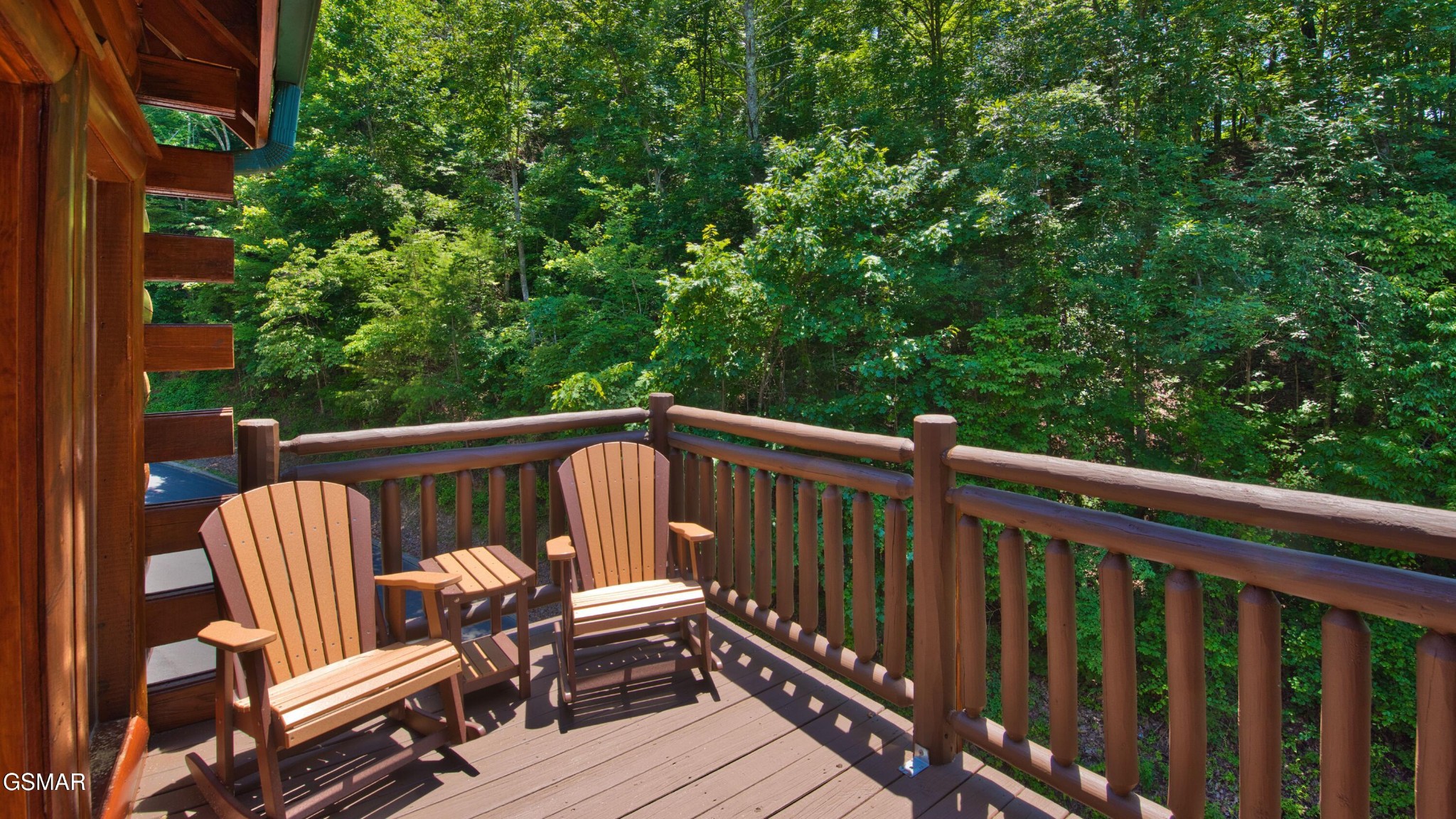 1124 Black Bear Cub Way Property Photo 24