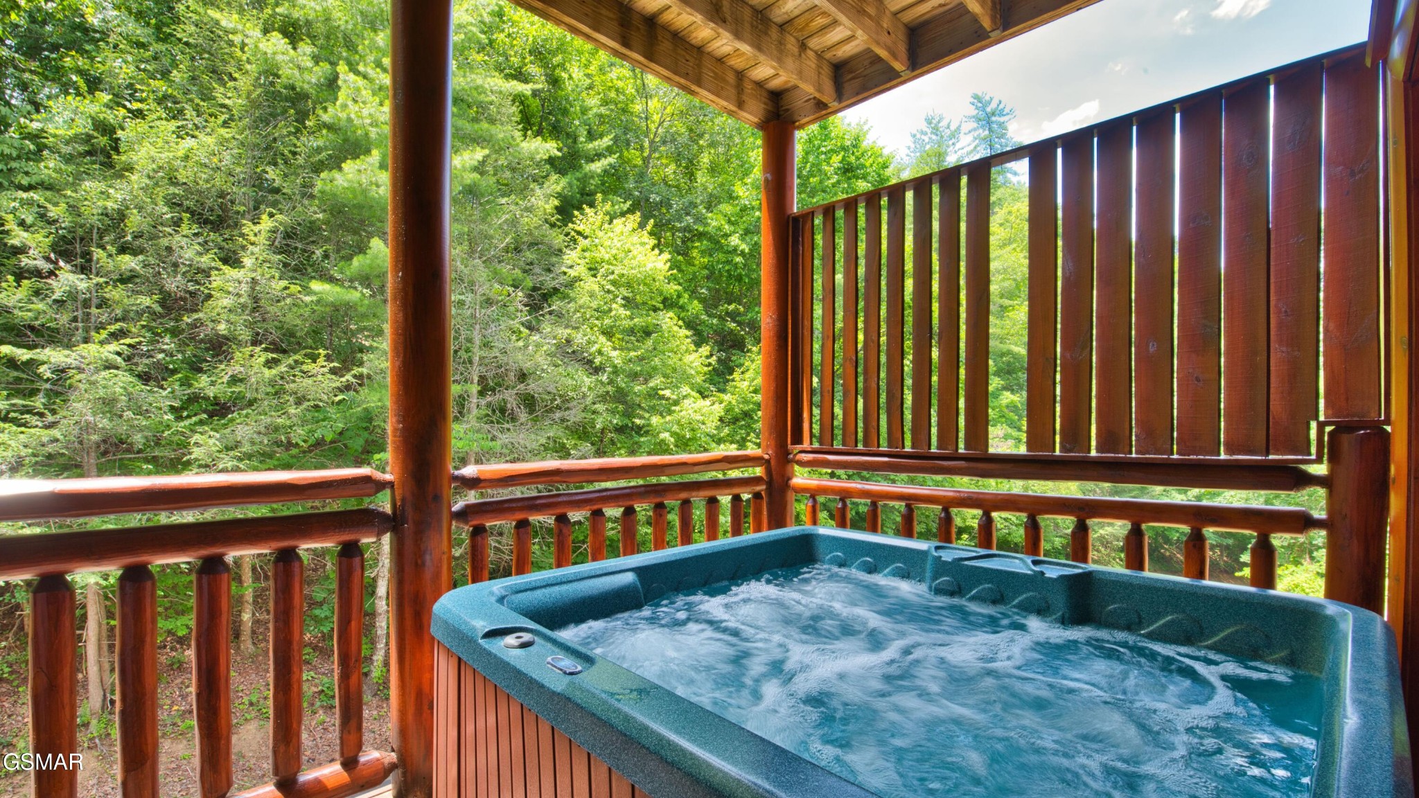 1124 Black Bear Cub Way Property Photo 26
