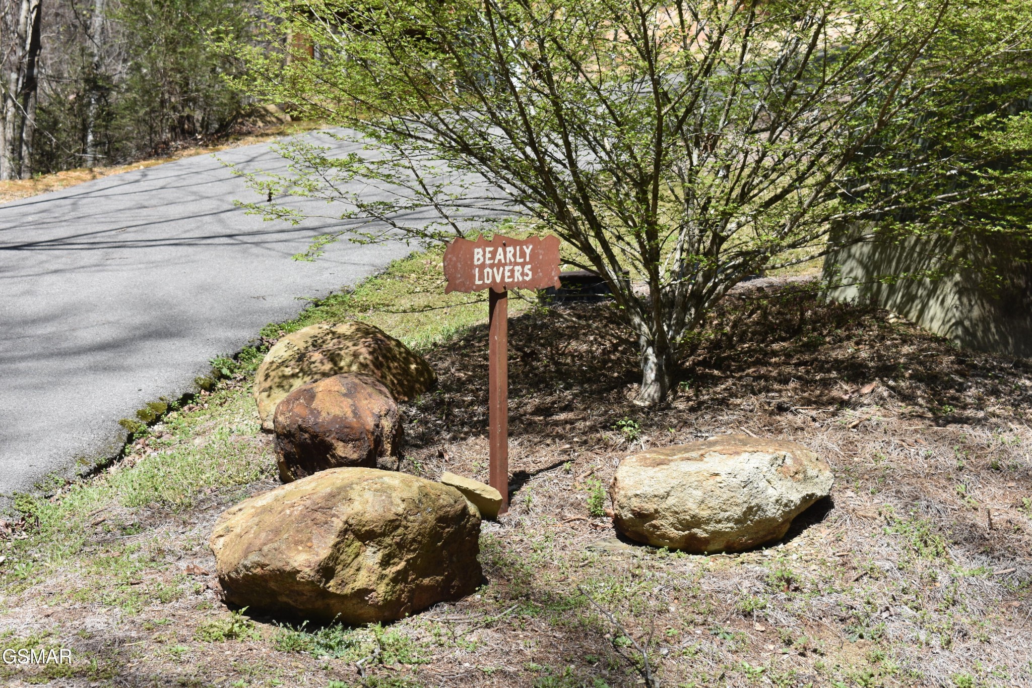 2910 Piney Ridge Way Property Photo 22