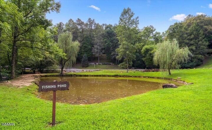 2910 Piney Ridge Way Property Photo 30