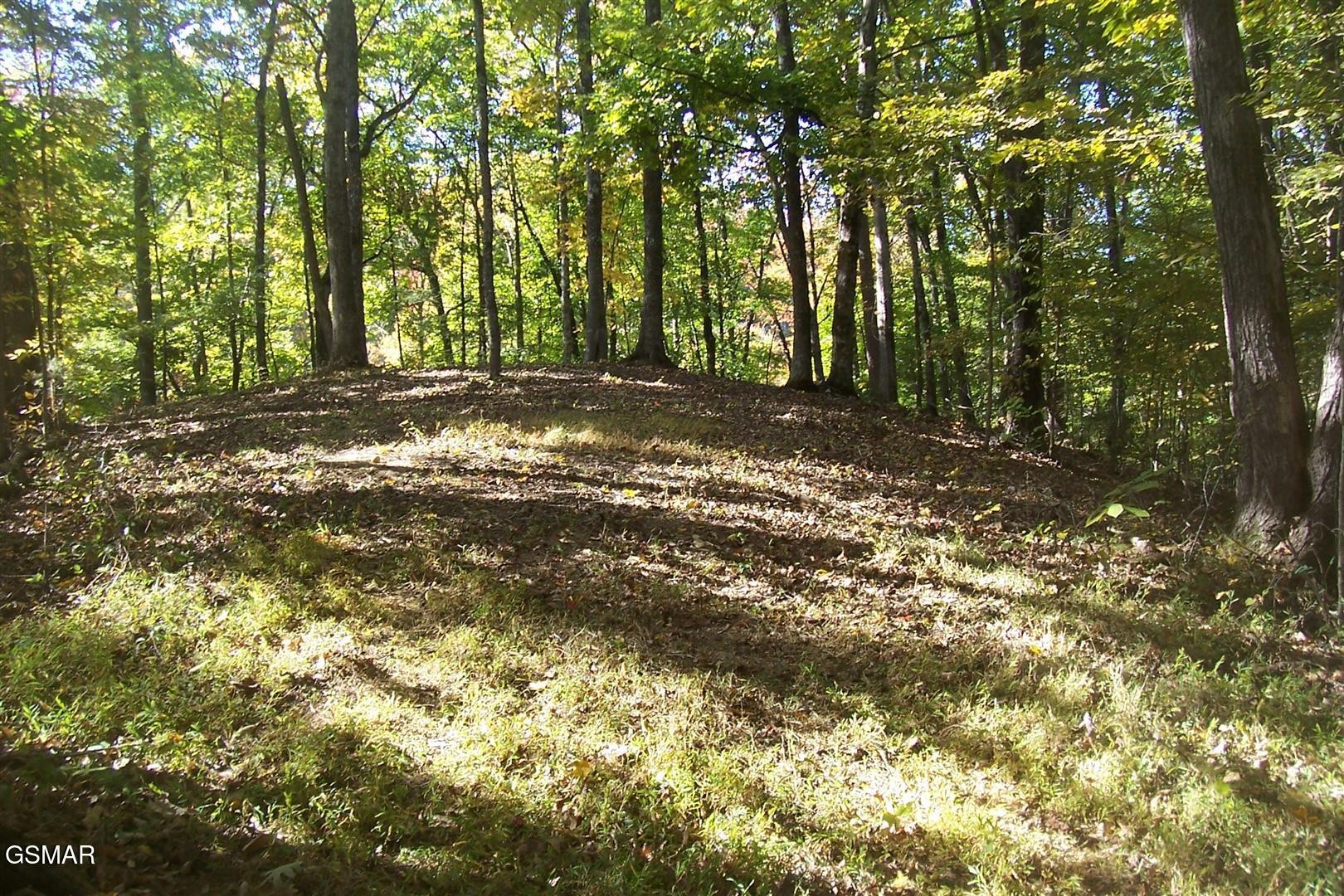 4 Veterans Blvd Property Photo 5