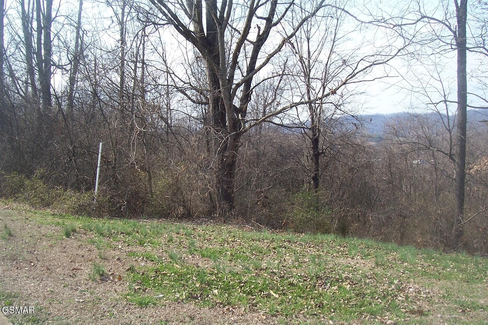 142 Low Valley Road