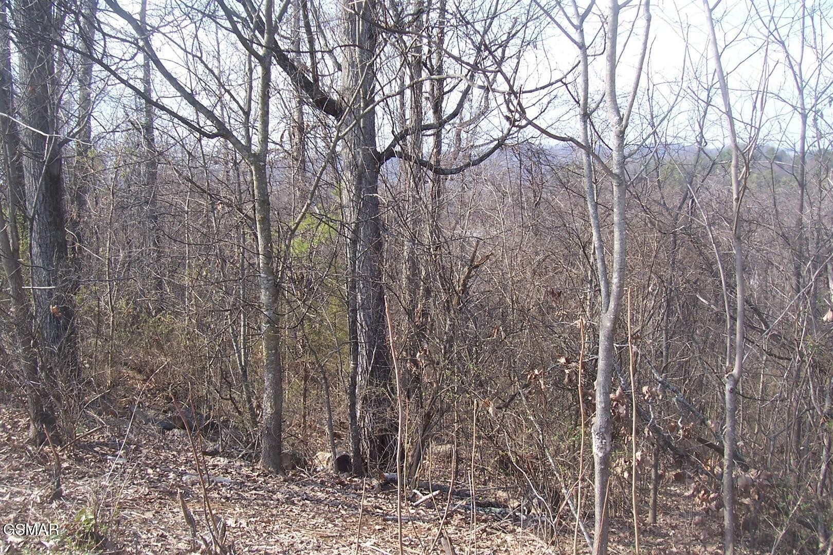 141 Low Valley Rd Property Photo 3