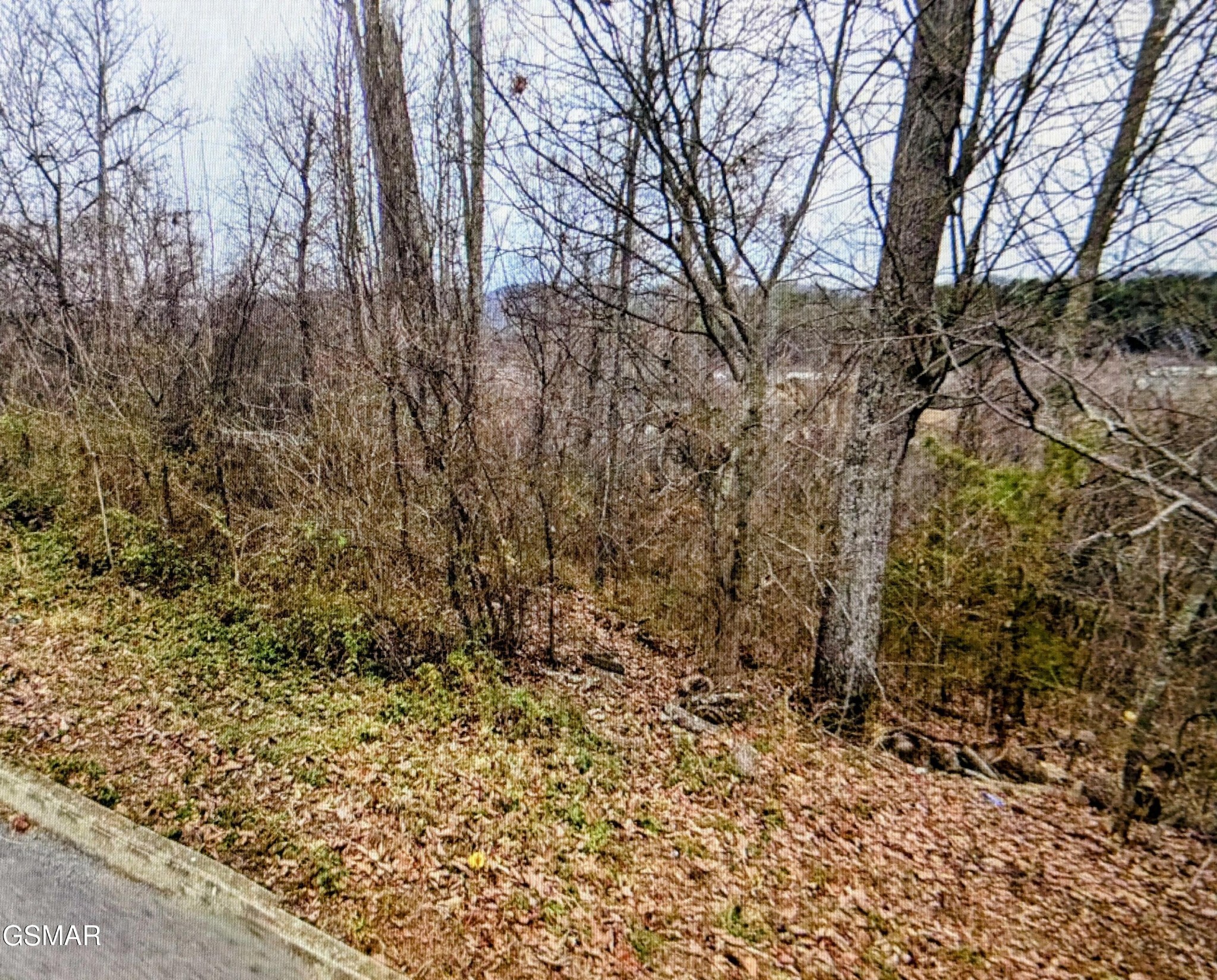141 Low Valley Rd Property Photo 4