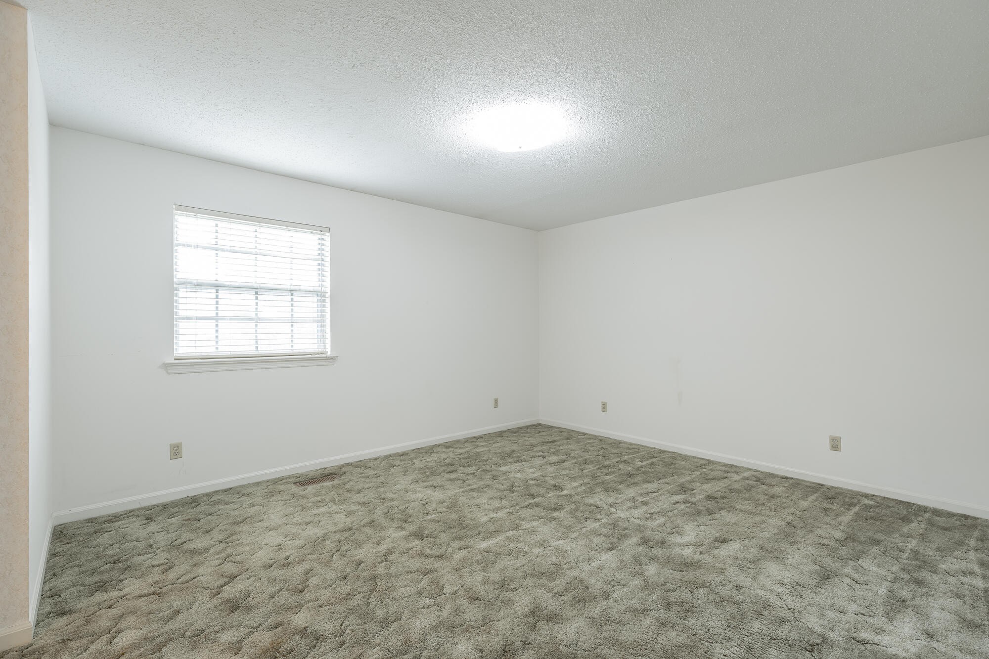 7309 Mccormack Drive Property Photo 7