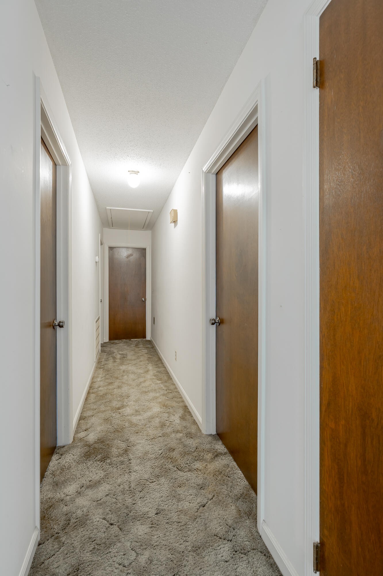 7309 Mccormack Drive Property Photo 26