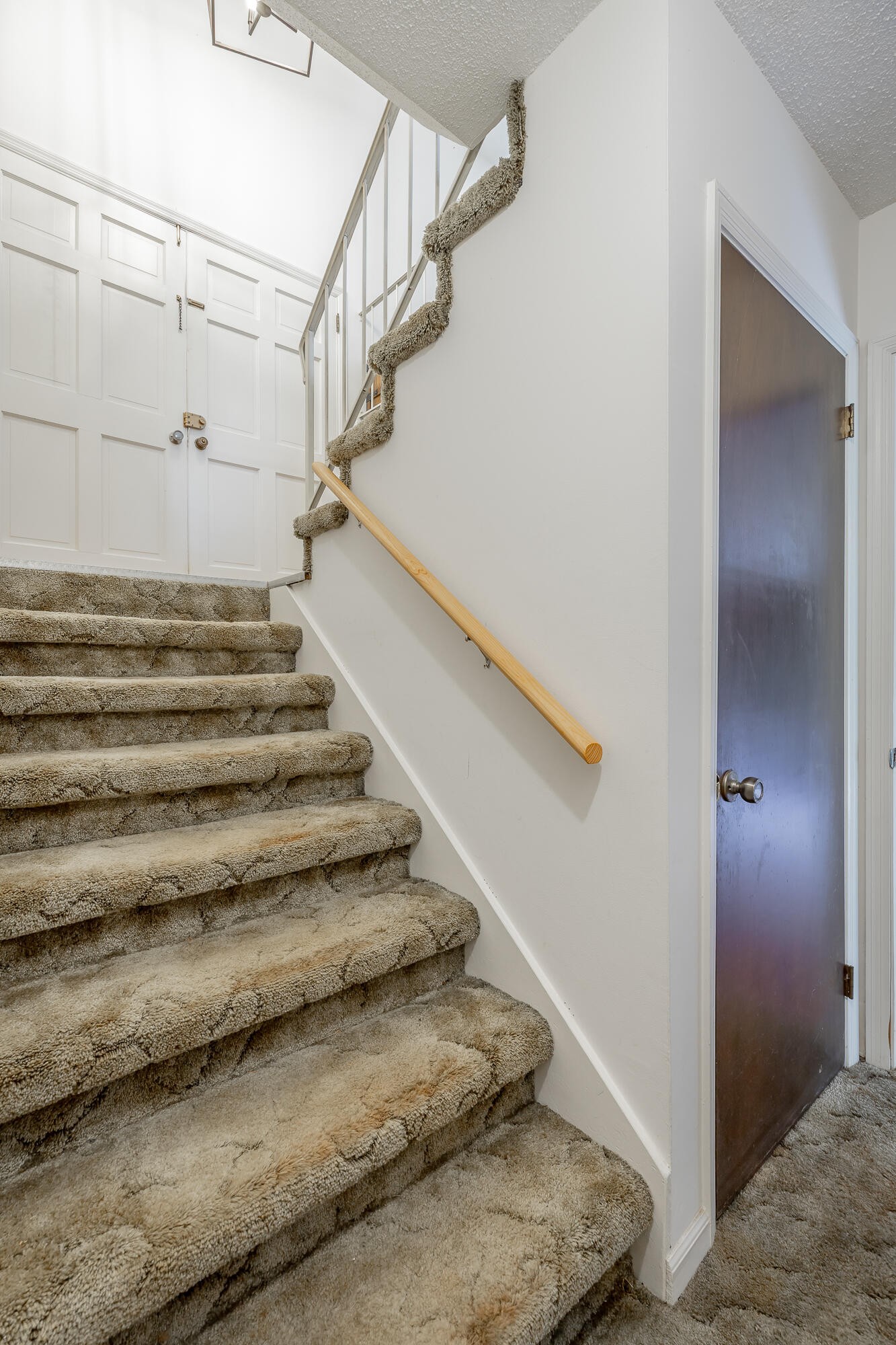 7309 Mccormack Drive Property Photo 35