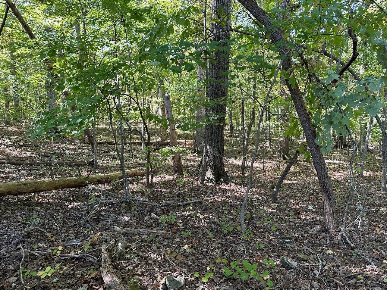 411412 Smith Road Property Photo 1