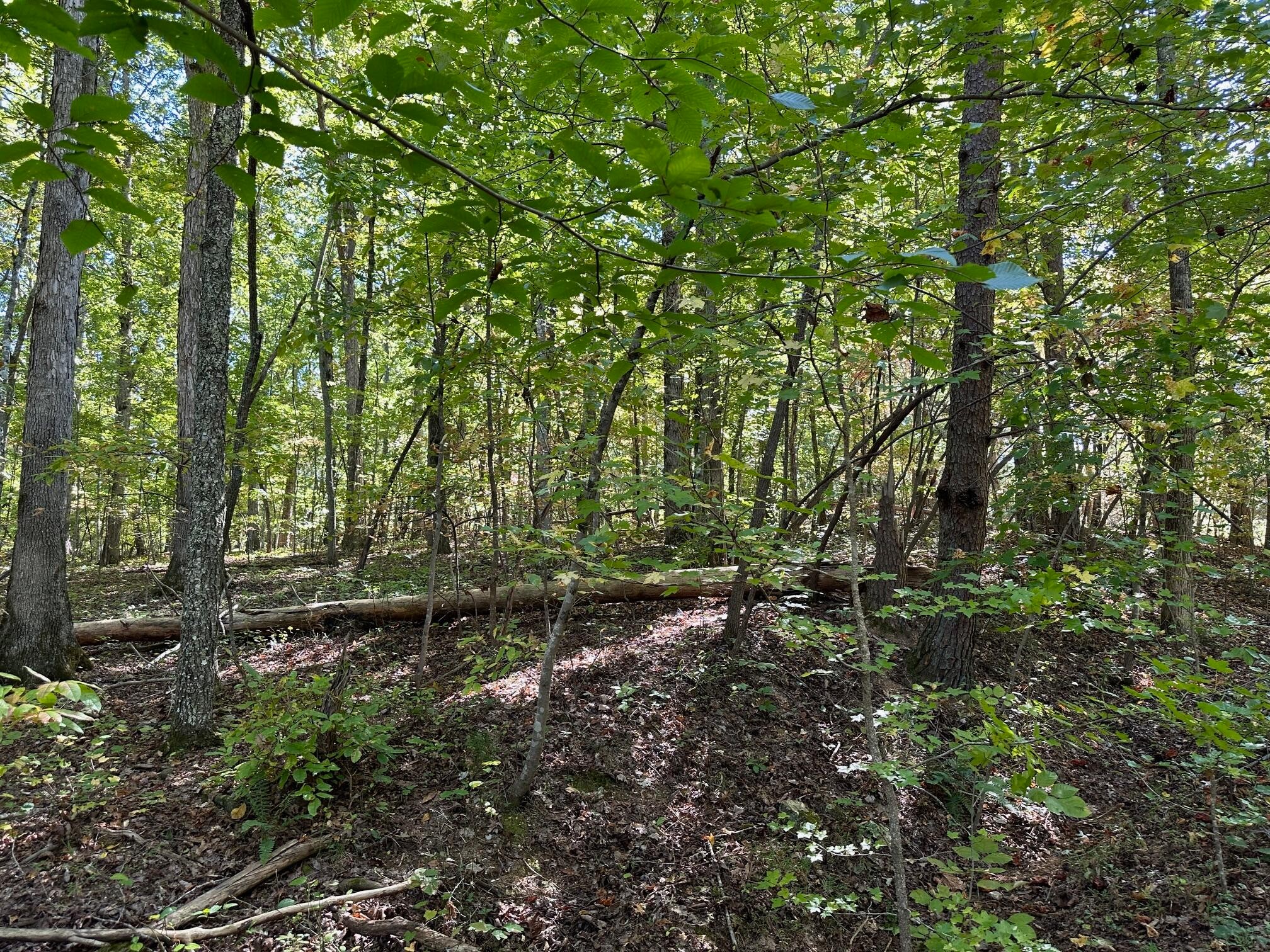 412 Smith Road Property Photo 3