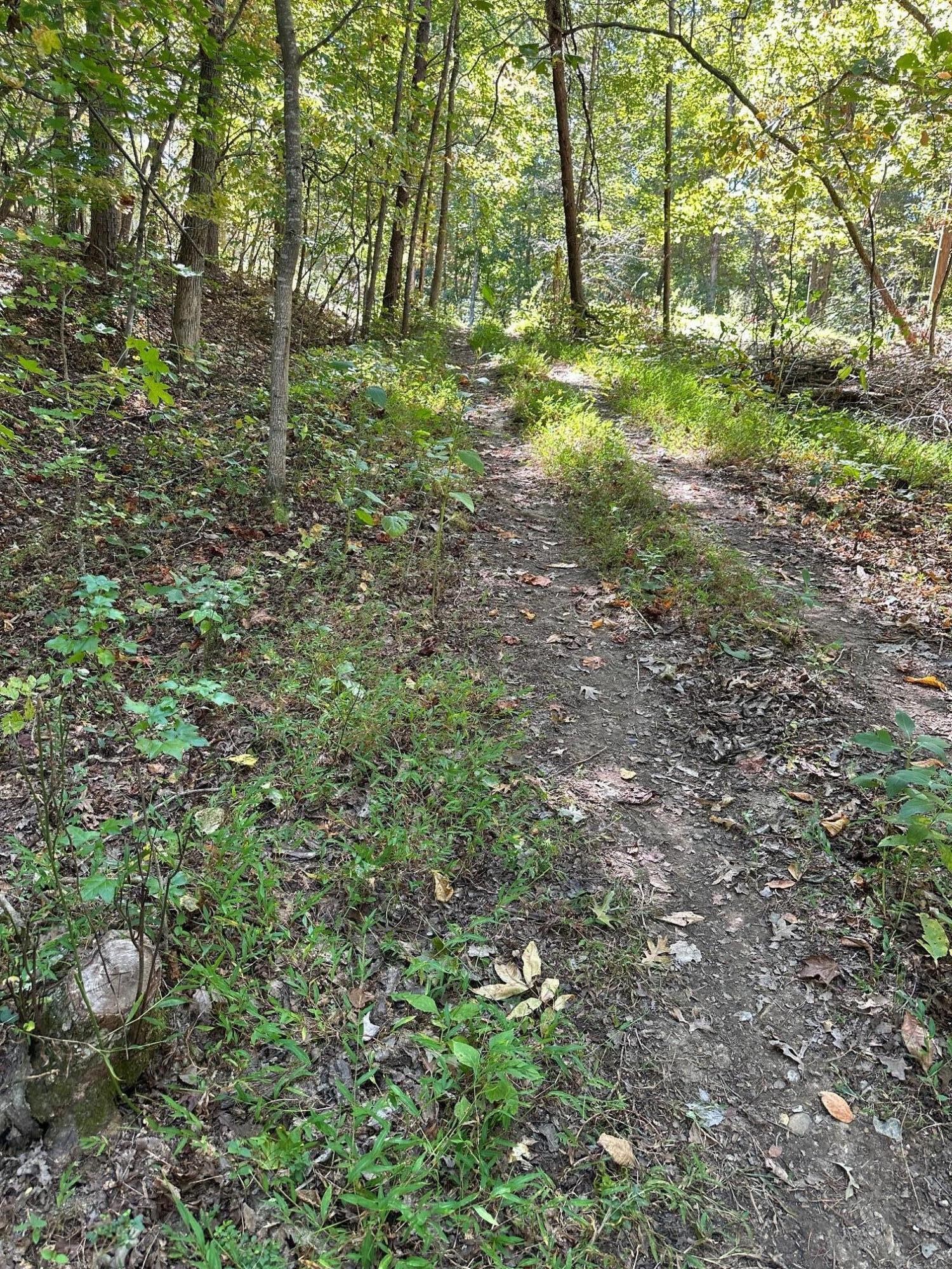 412 Smith Road Property Photo 4