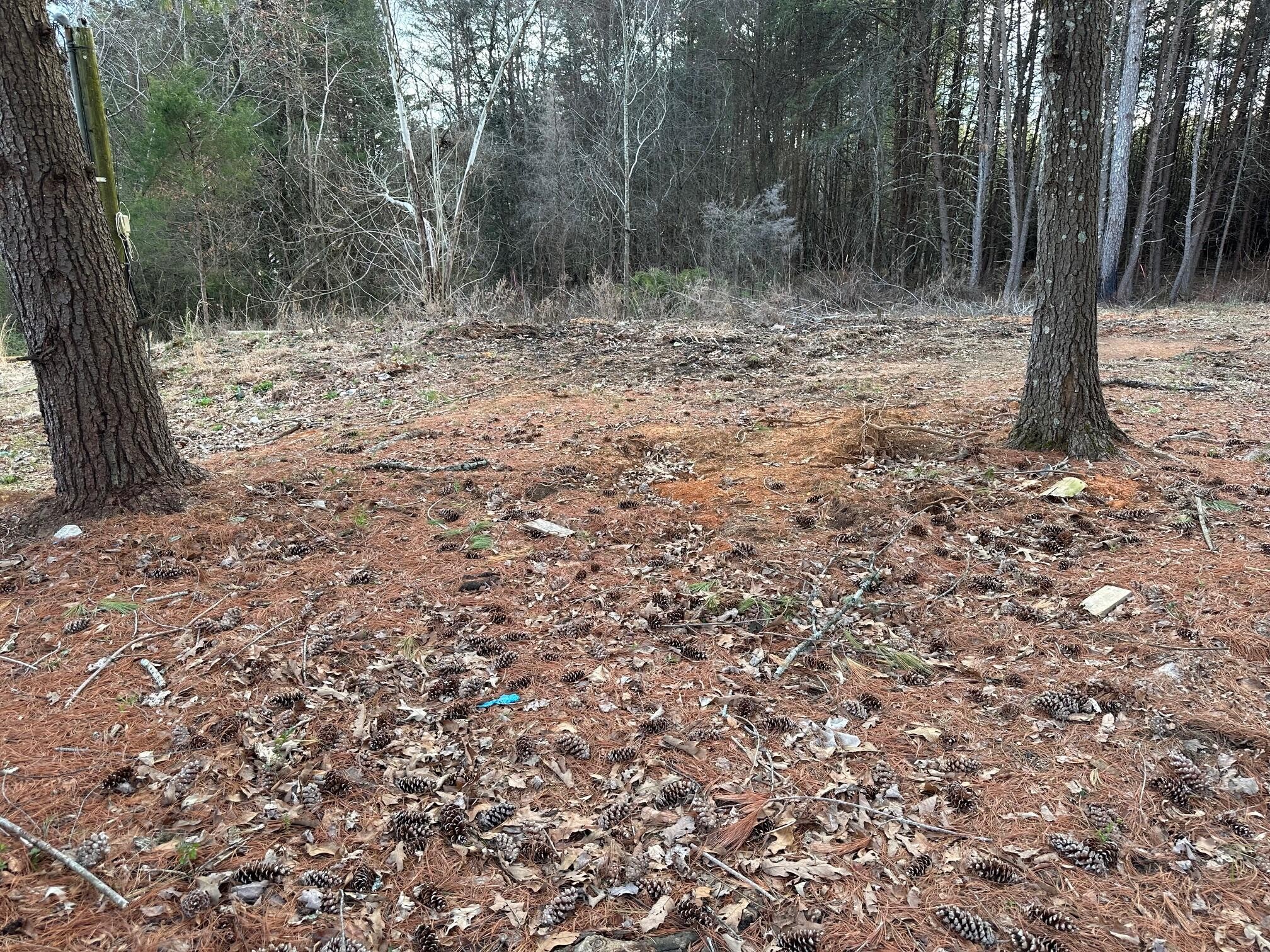 1285 Dyer Road Property Photo 22