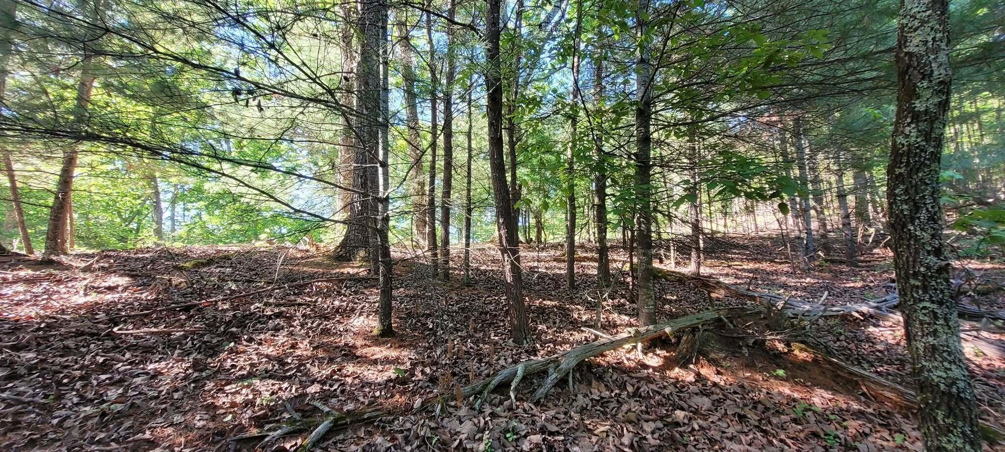123 Dogwood Court Property Photo 1