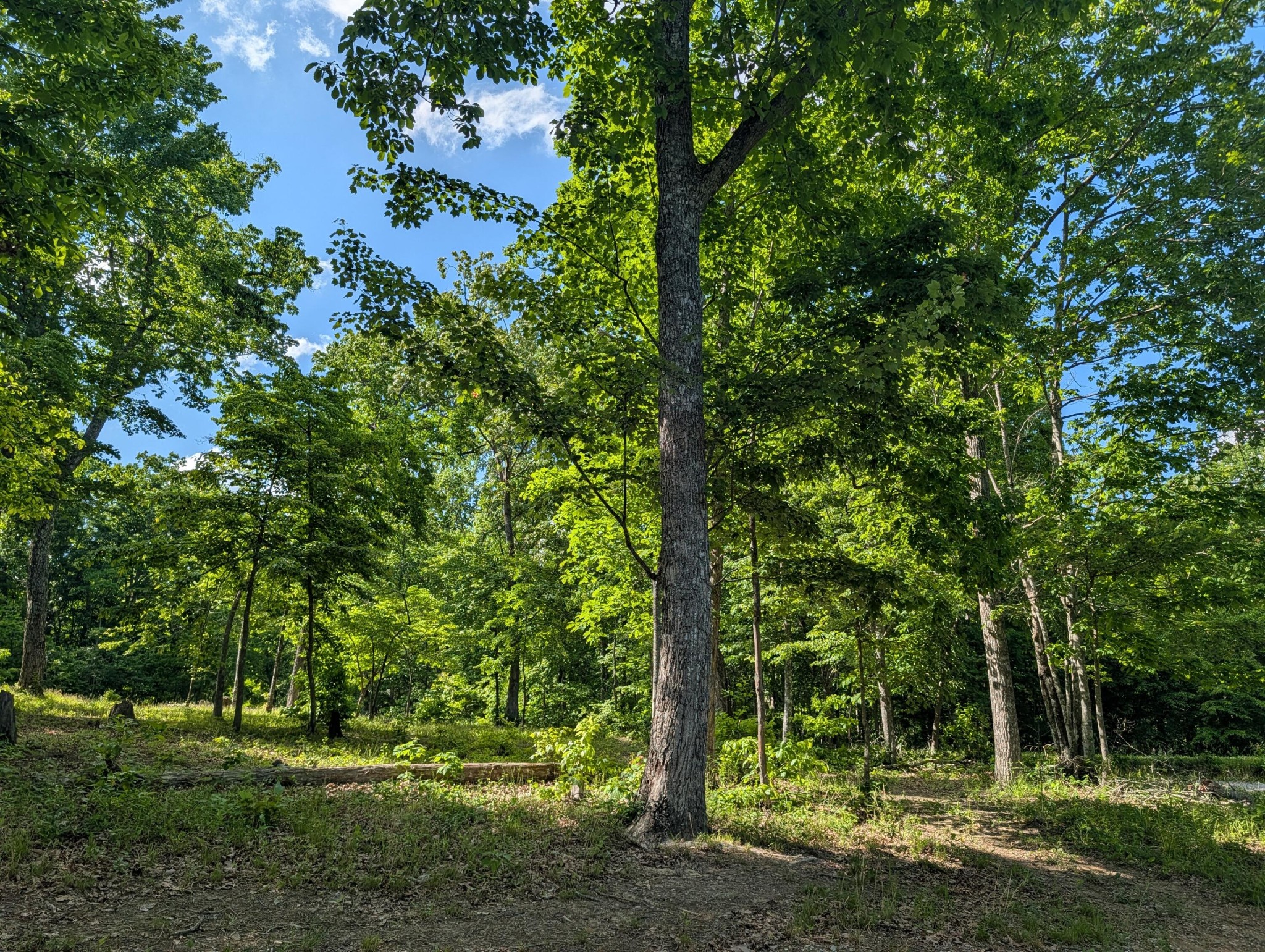 9495 Red Oak Lane Property Photo 1