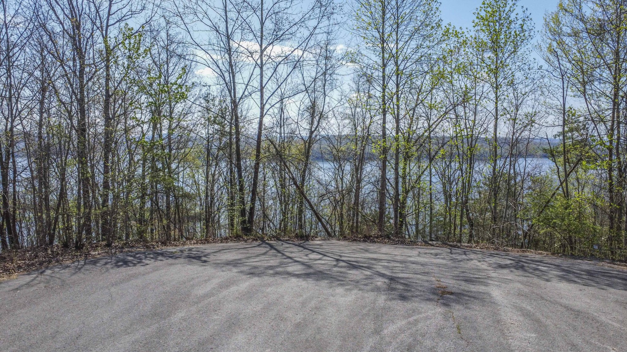 106 Eerie Point Property Photo 1