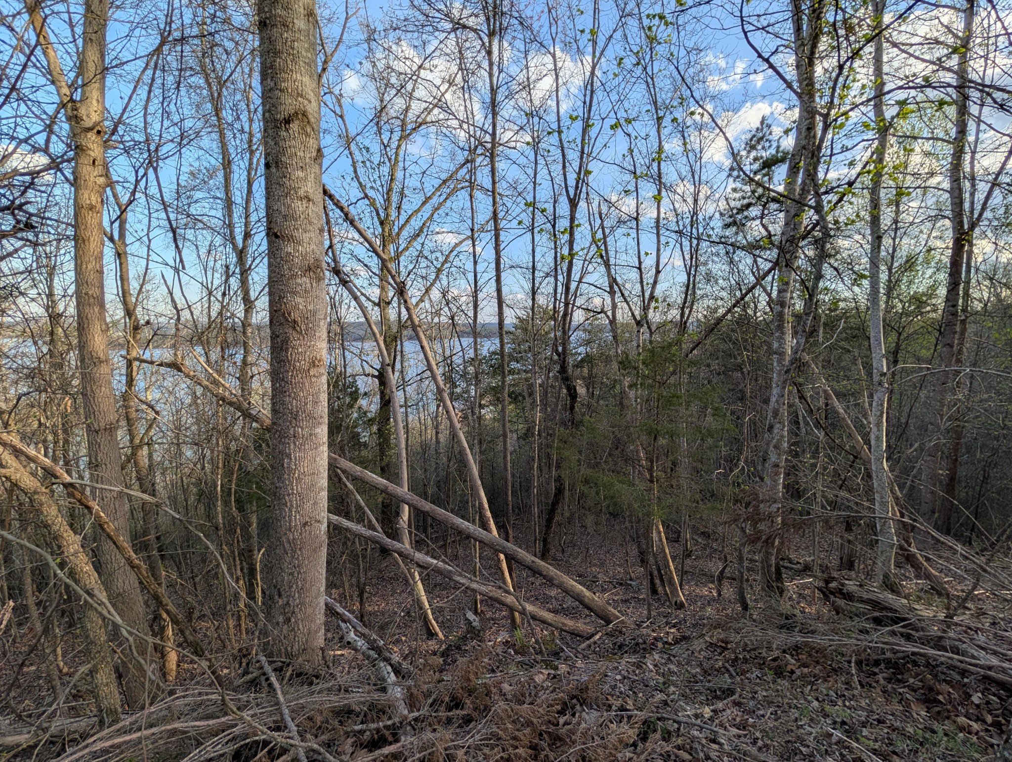 106 Eerie Point Property Photo 13