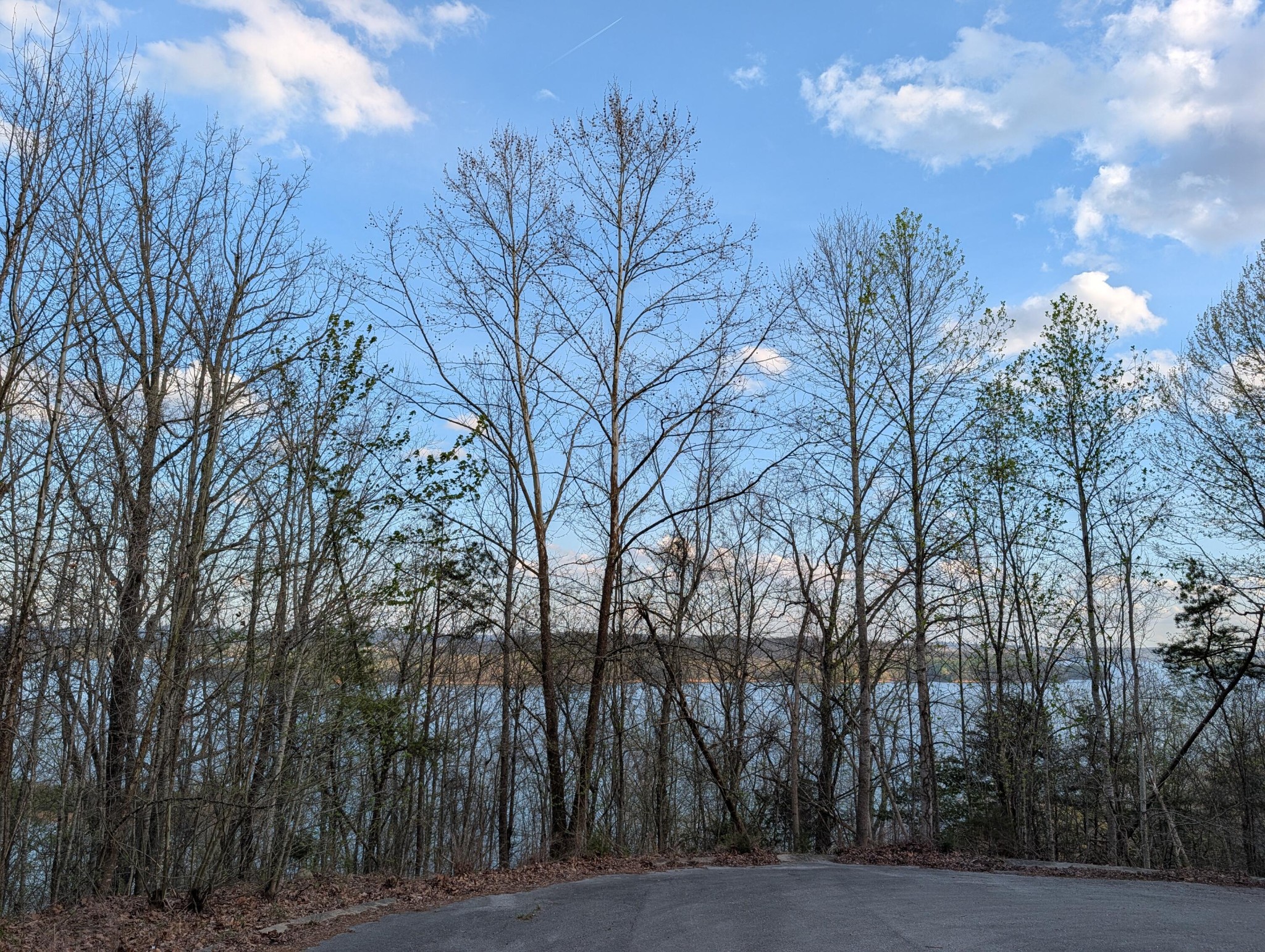 106 Eerie Point Property Photo 14