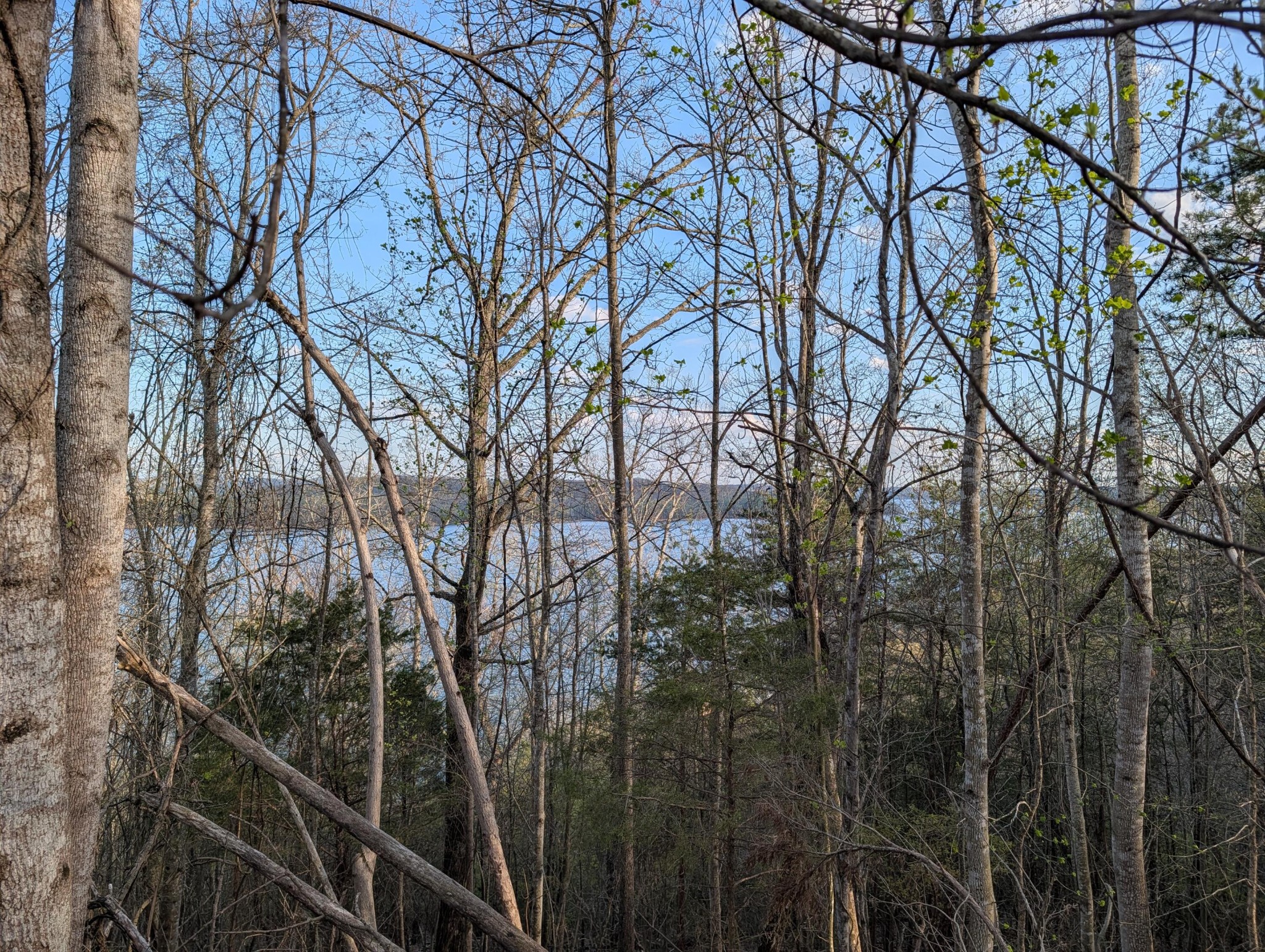 106 Eerie Point Property Photo 15