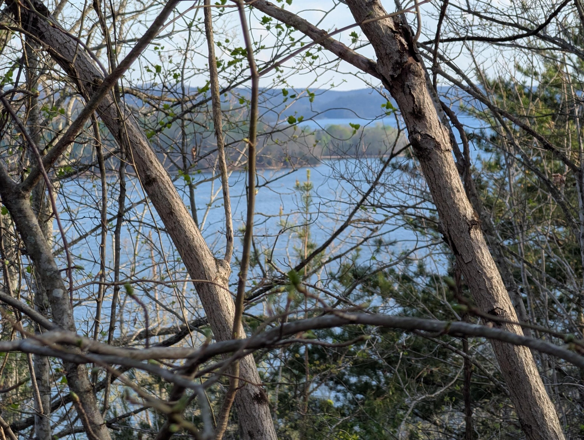 106 Eerie Point Property Photo 16