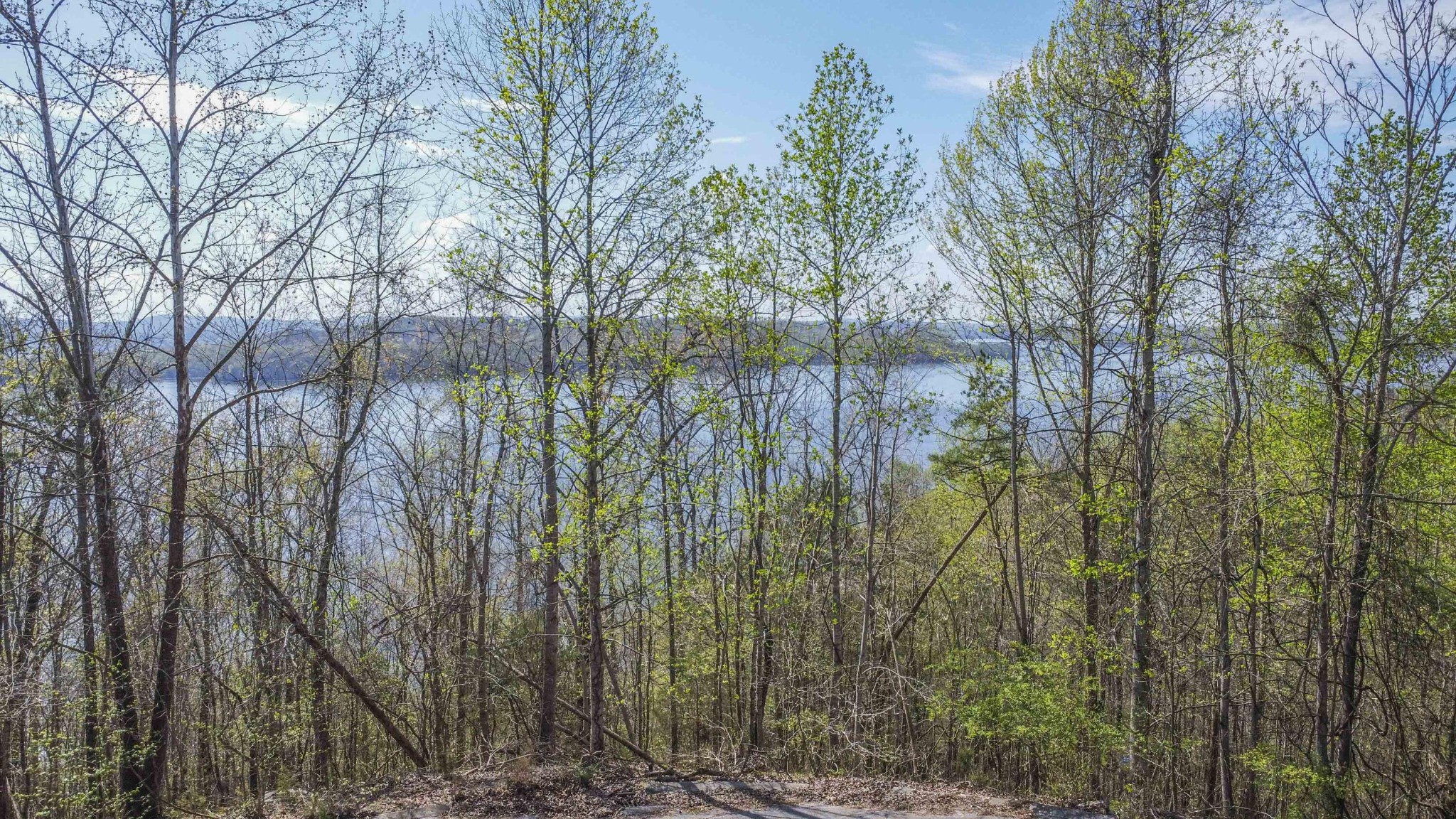 106 Eerie Point Property Photo 33