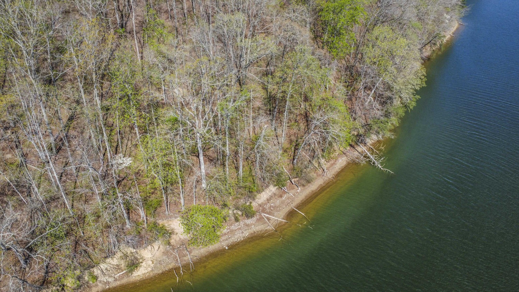 106 Eerie Point Property Photo 38