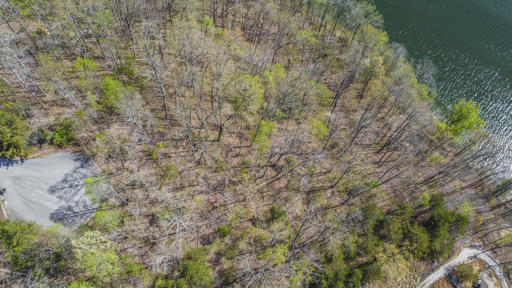 106 Eerie Point Property Photo 40